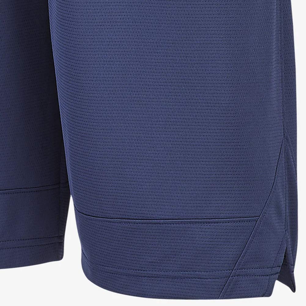 Nike Mens Dry Icon Shorts